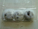 P20111021-mame-daifuku.JPG
