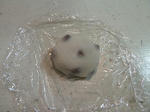 P20111120-mamemochi.JPG