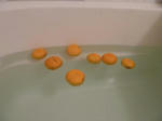 P20111223-yuzu-yu.JPG