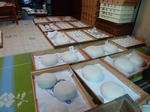 P20120105-tsuruya-2.JPG