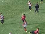 P20120108-nadeshiko-1.JPG