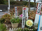 P20120202-tatehuda-2.JPG