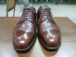 P20120208-shine-kokon.JPG