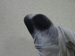 P20120210-clean-1.JPG