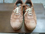 P20120216-shine-camper-1.JPG