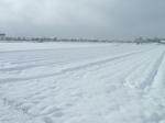 P20120218-snow-4.JPG