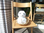 P20120218-yuki-daruma.JPG