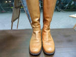 P20120223-shine-boots.JPG