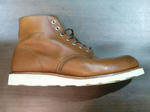 P20120225-red-wing-2.JPG
