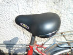 P20120329-saddle-2.JPG