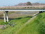 P20120409-seisyun.JPG
