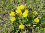 P20120419-spring-1.JPG