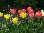 P20120419-spring-4.JPG