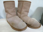 P20120428-mouton-cleaning-1.JPG