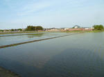 P20120515-tanbo.JPG