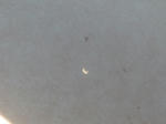 P20120521-kinkan-nissyoku-1.JPG