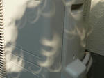 P20120521-kinkan-nissyoku-2.JPG