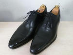 P20120530-shine-straight-tip.JPG