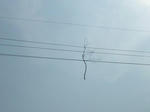 P20120608-eda-1.JPG