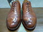 P20120608-shine-brown.JPG