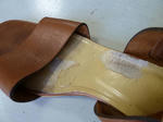 P20120616-nakajiki-1.JPG