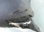 P20120806-kappa-2.JPG