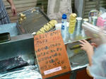 P20120823-nouryo-sai-5.JPG