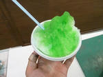 P20120823-nouryo-sai-15.JPG
