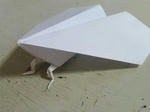 P20120828-kami-hikouki-1.JPG