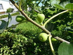 P20120831-last-august-3.JPG