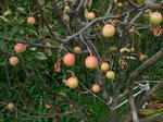 P20120831-last-august-4.JPG