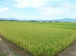 P20120831-last-august-5.JPG