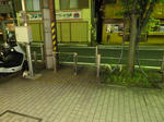 P20120904-cats-1.JPG