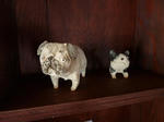 P20120917-awaisa-10.JPG