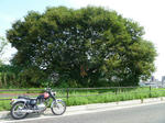 P20120920-malon-1.JPG