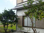P20121101-autumn-4.JPG