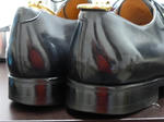P20121125-hie-shine-2.JPG