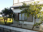 P20121204-fruit-4.JPG