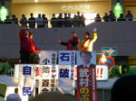P20121214-koikesan-1.JPG