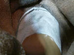 P20121215-boots-koshiura-2.JPG