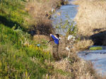P20121226-takajo-3.JPG