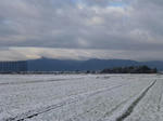 P20121227-snow-1.JPG