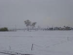 P20130118-snow-1.JPG