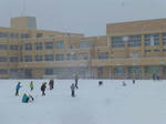 P20130118-snow-3.JPG