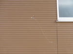 P20130325-wall-repair-1.JPG