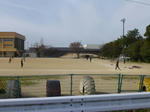 P20130401-spring-9.JPG