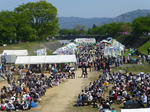P20130429-syukuba-matsuri-8.JPG