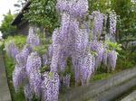 P20130501-may-2.JPG