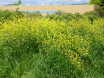 P20130501-may-3.JPG