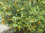P20130501-may-4.JPG
